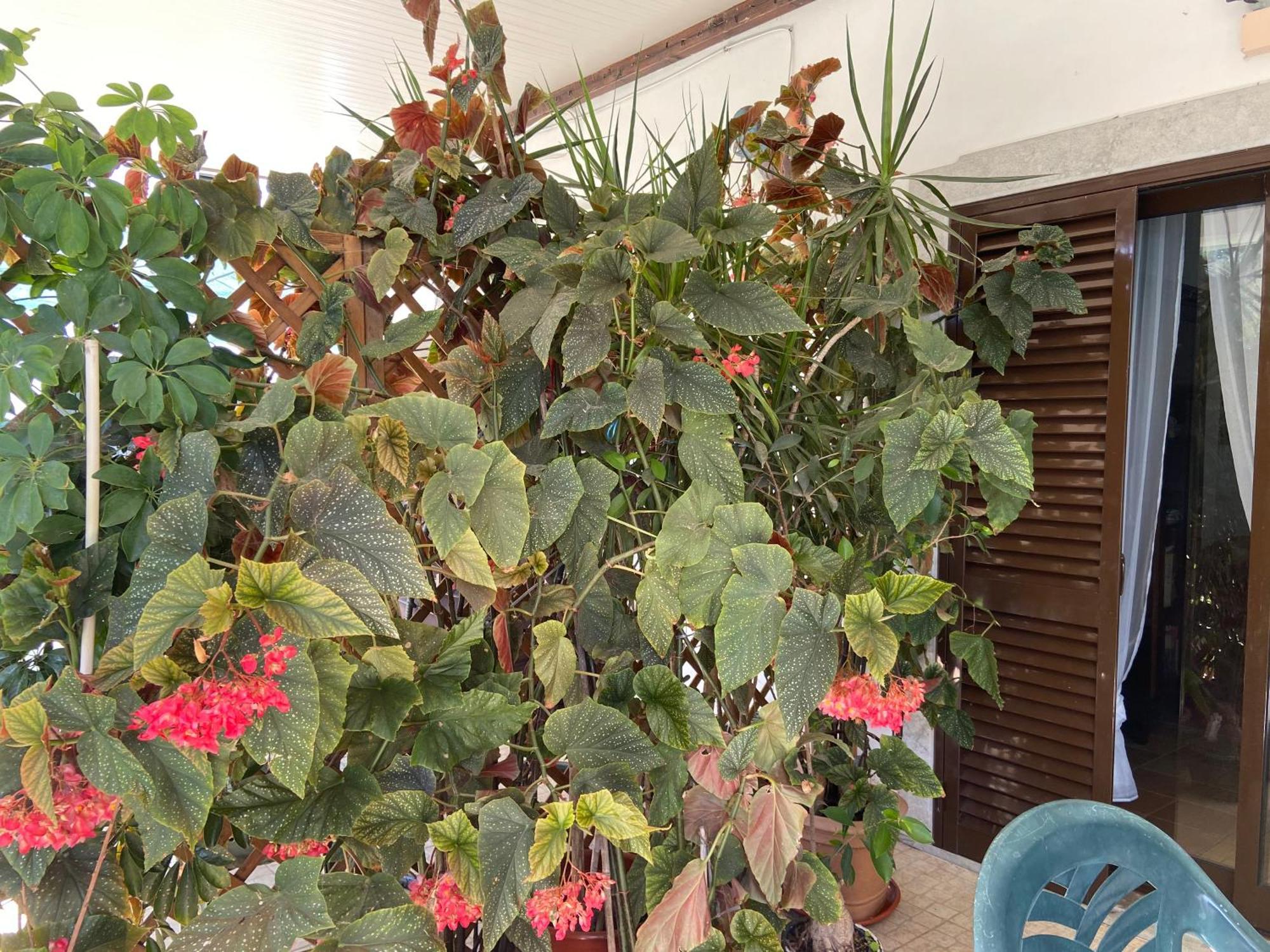 A Casa Da Maria Casa vacanze *